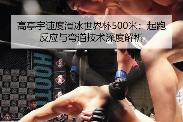 高亭宇速度滑冰世界杯500米：起跑反应与弯道技术深度解析