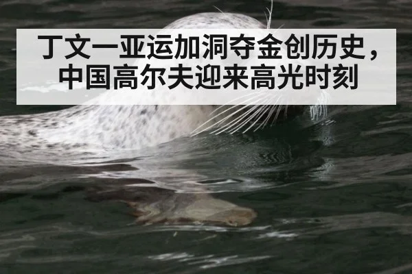 丁文一亚运加洞夺金创历史，中国高尔夫迎来高光时刻